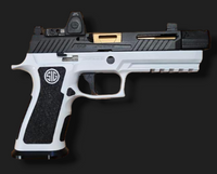 Cerakote P320 X-Series